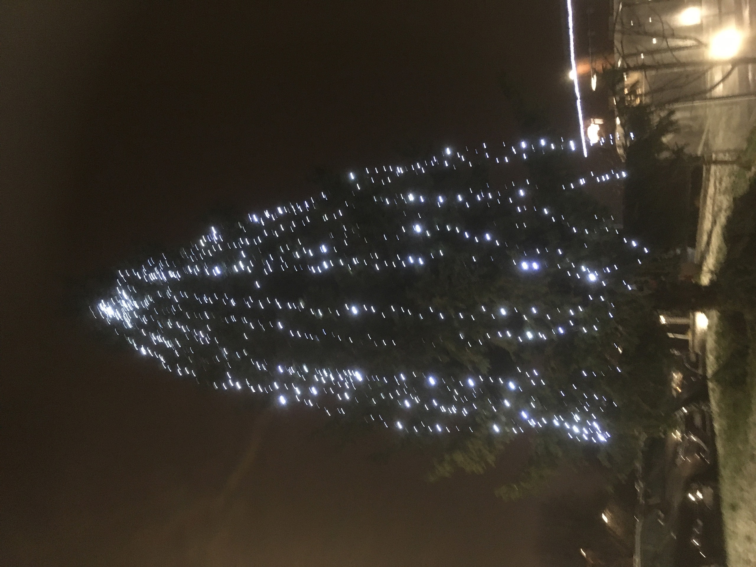 Årets juletre på Rykkinn 2020